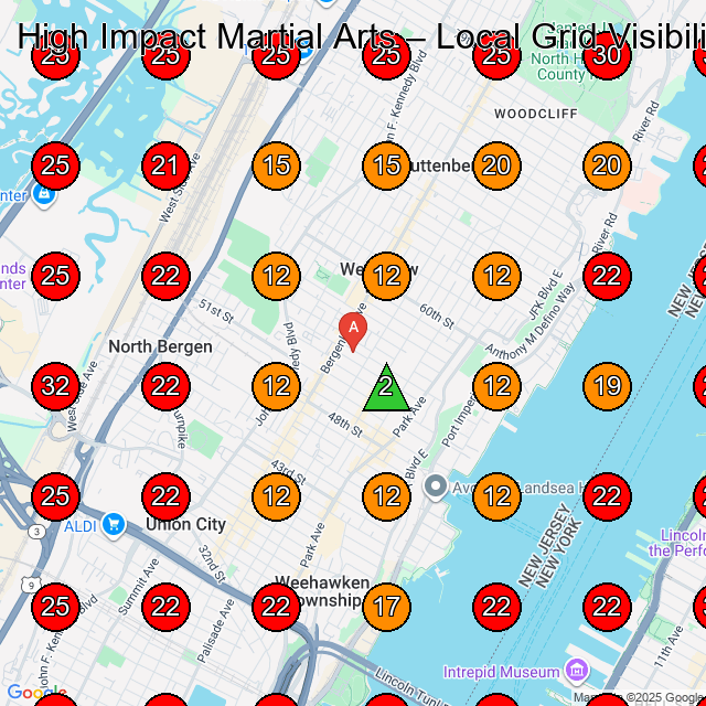 High Impact Martial Arts GeoGrid visibility map for Martial Arts School in Union City